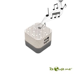 Parlante Wireless Earth